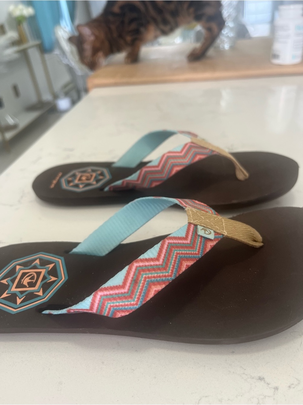 Casual Chevron-Print Flip Flops in Aqua and Coral